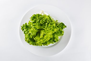 Heathy yaşam tarzı, beyaz üzerine bir tabak içinde organik salata