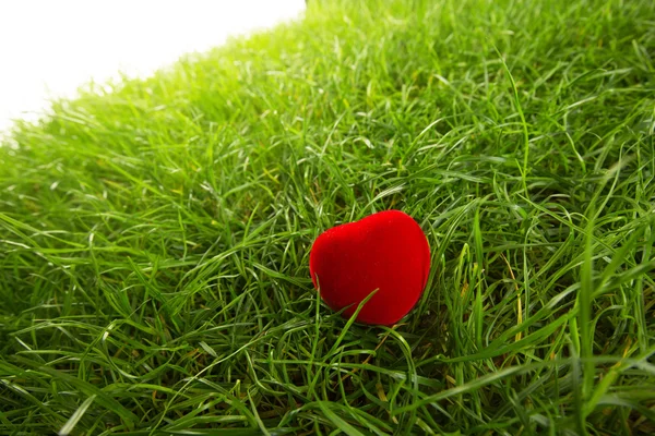 Бархатная коробка сердца с золотым кольцом изолированы на зеленой траве — стоковое фото