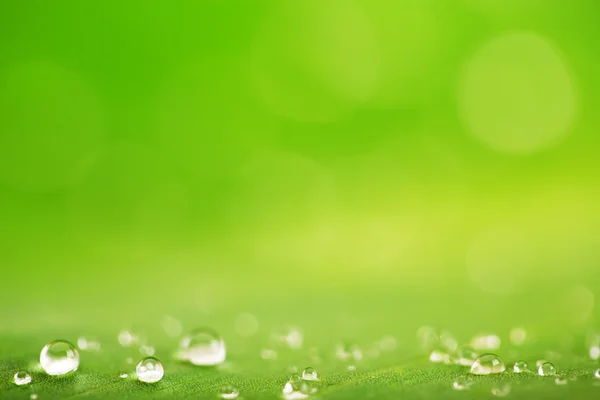 Gotas de lluvia sobre la textura de la hoja verde fresca, fondo natural — Foto de Stock