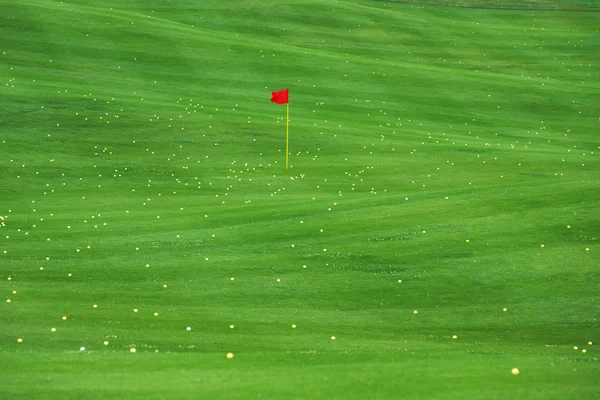 Γκολφ και γκολφ. Μπάλες του γκολφ στο πράσινο γρασίδι. — Φωτογραφία Αρχείου