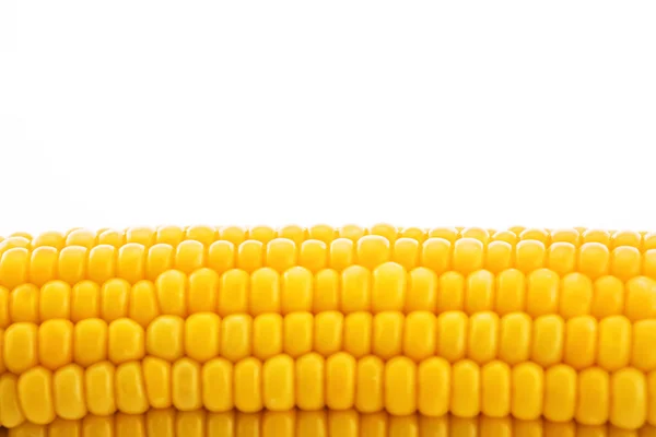 Sweet corn background — Stock Photo, Image