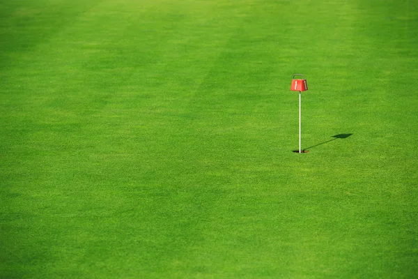 Green grass in golf course — Stock Photo, Image