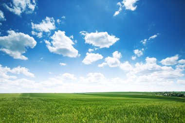 Bahar. Yeşil bir alan ve gökyüzü bulutlar doğal arka plan.