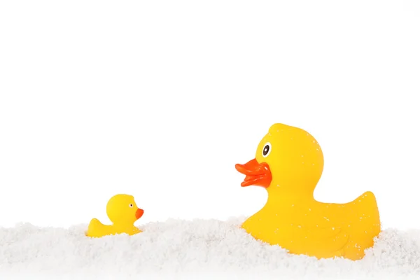 Yellow duck and ducky family and powder isolated on white — Zdjęcie stockowe