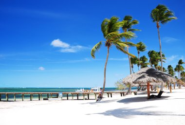 Sandy tropical beach Bavaro, Punta Cana, Dominican Republic clipart