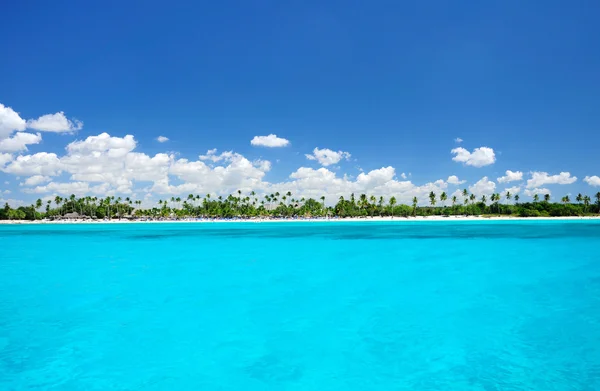 Karayip Denizi ve egzotik kıyı şeridi manzara, Punta Cana
