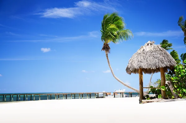 Tropikalny piaszczysta plaża w Dominikana, Punta Cana — Zdjęcie stockowe