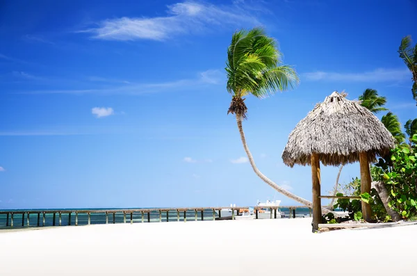 Tropischer Sandstrand in der Dominikanischen Republik, Punta Cana — Stockfoto