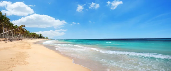 마카오 해변와 바다 파도 파노라마 보기, 도미니카 공화국 — 스톡 사진
