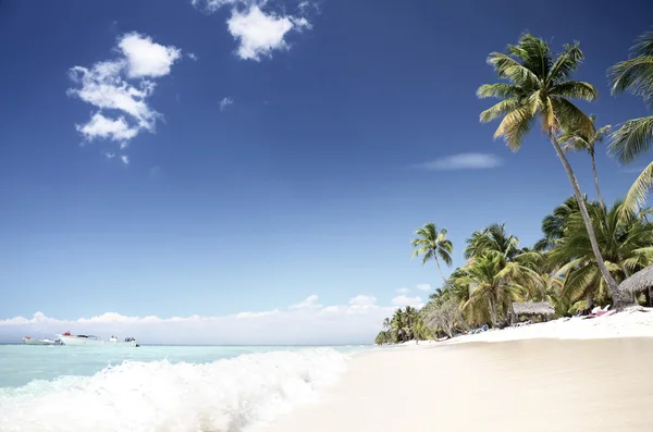 Playa tropical vacía, Isla Saona —  Fotos de Stock