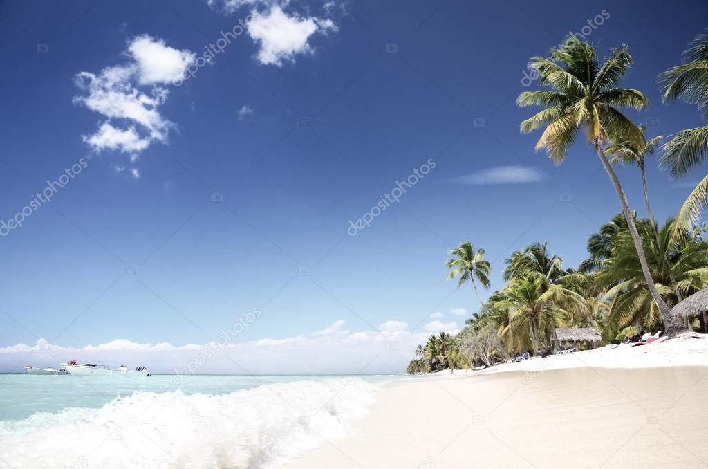 Tropical, empty beach, Saona Island