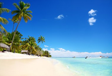 Landscape of paradise tropical island beach with perfect sunny sky clipart