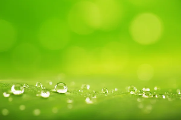 Fondo abstracto, textura de hoja verde y gotas de lluvia — Foto de Stock