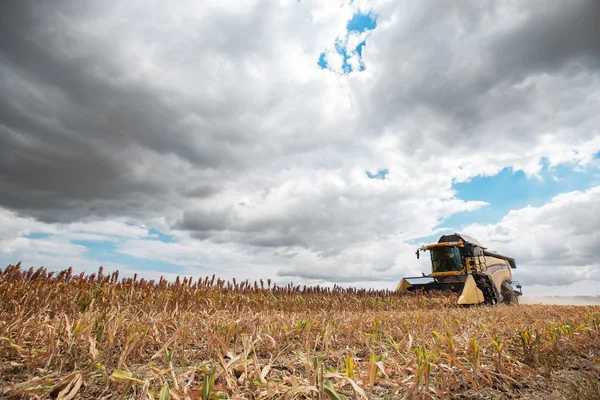 Combine harvester on farm field — Stock Photo, Image