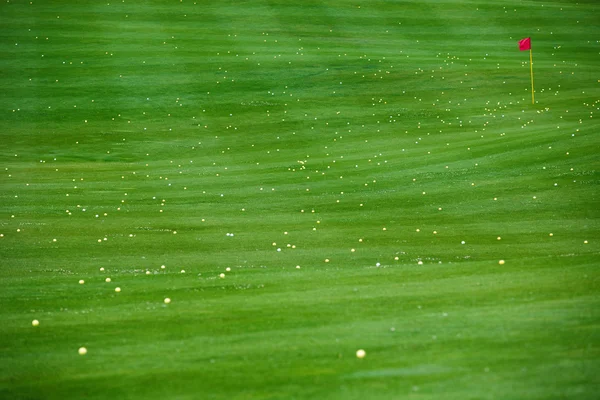 Pelotas de golf en el campo de golf verde —  Fotos de Stock