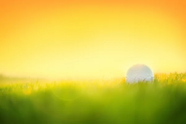 Pelota de golf en tee en un club de golf — Foto de Stock