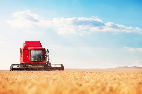 Combine harvesting wheat and cloudscape — Stock Photo, Image