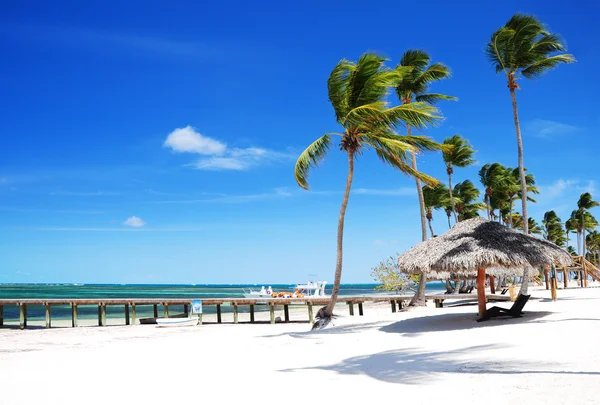 Tropischer sandstrand in punta cana, bavaro — Stockfoto