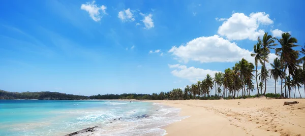 Playa exótica con palmeras y arenas doradas en República Dominicana , —  Fotos de Stock