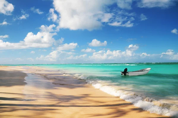 Tropisch strand en boot — Stockfoto