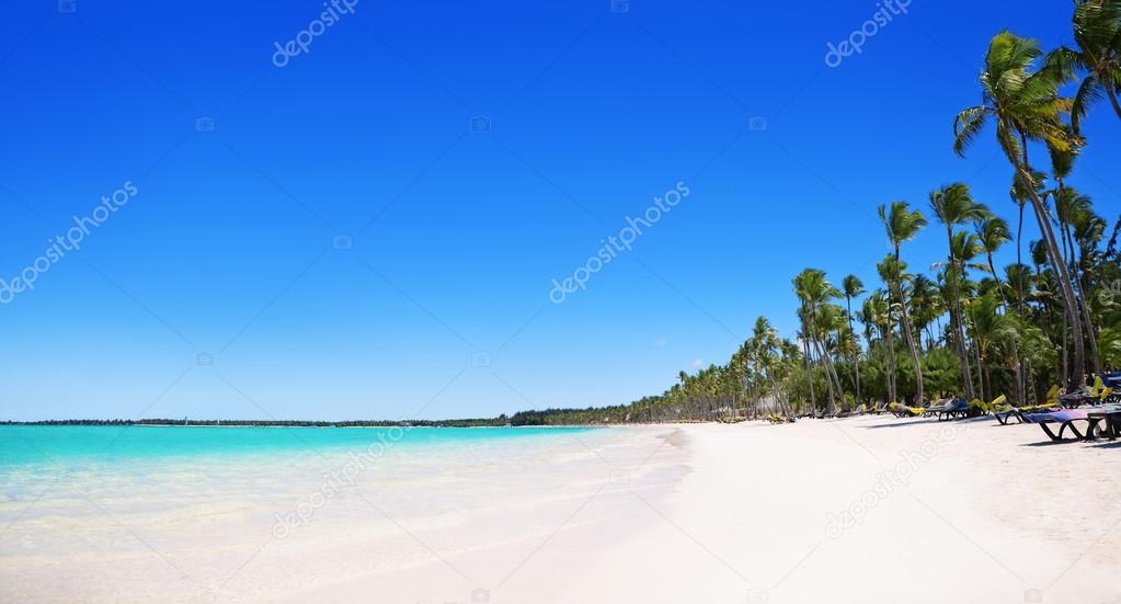 Palm trees on the tropical beach, Bavaro, Punta Cana, Dominican