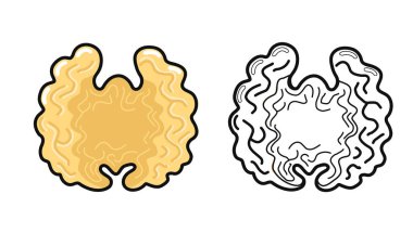 Ceviz çekirdeği çizimi renk ve siyah ana hatlı bir versiyonu sunuyor. Renklendirme etkinlikleri için mükemmel.