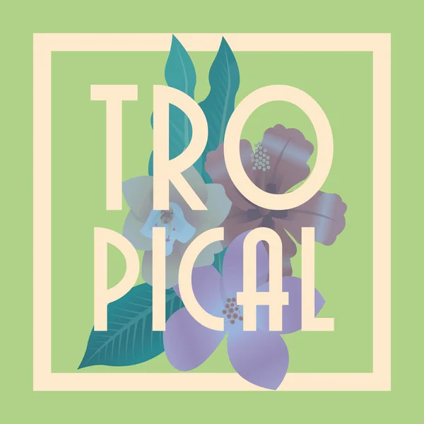 Conception icône tropicale — Image vectorielle