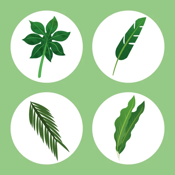 Diseño de iconos tropicales — Vector de stock