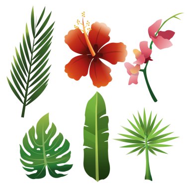 Yeşillik simgesi tasarım