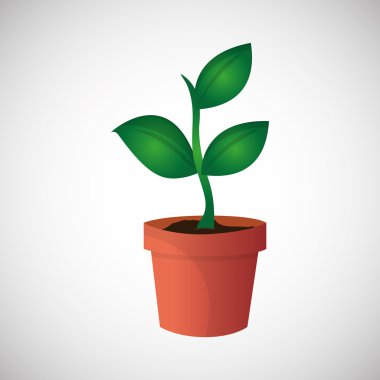 Doğal ve çevre tasarımı