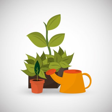 Doğal ve çevre tasarımı