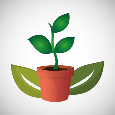 Doğal ve çevre tasarımı