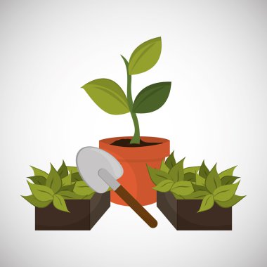 Doğal ve çevre tasarımı