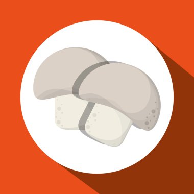 Organik mağaza tasarım