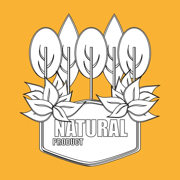 Naturalne i ekologiczne — Wektor stockowy