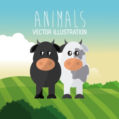 inek ve boğa tasarım