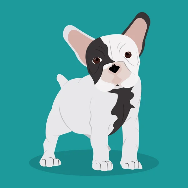 Diseño bulldog francés, ilustración vectorial — Vector de stock