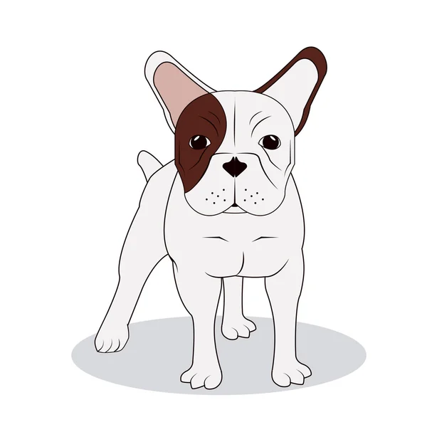 Diseño bulldog francés, ilustración vectorial — Vector de stock