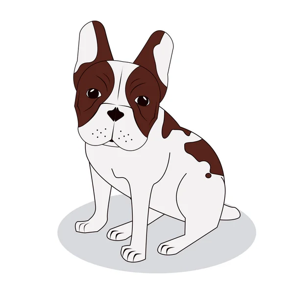 Desenho de bulldog francês, ilustração vetorial — Vetor de Stock