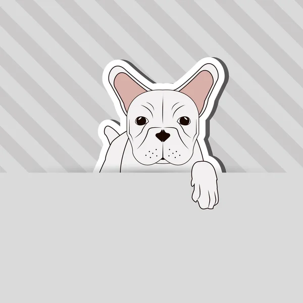 Bouledogue français design, animal de compagnie et concept animal — Image vectorielle