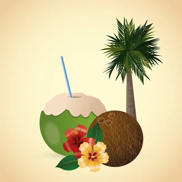 Tropických design. květinový koncept. kokosová ikona — Stockový vektor