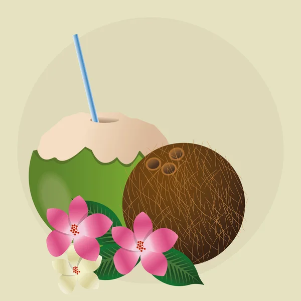 Diseño tropical. concepto de flor. icono de coco — Archivo Imágenes Vectoriales