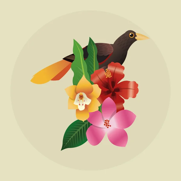 Tropických design. pták koncept. ikona příroda — Stockový vektor