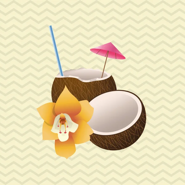 Desenho tropical. conceito de flor. ícone de coco —  Vetores de Stock