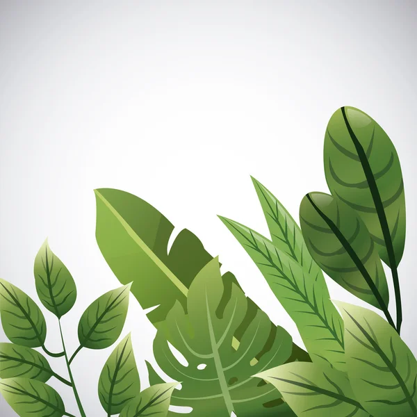 Diseño de hojas tropicales. icono de la hoja. concepto natural, ilustración vectorial — Vector de stock
