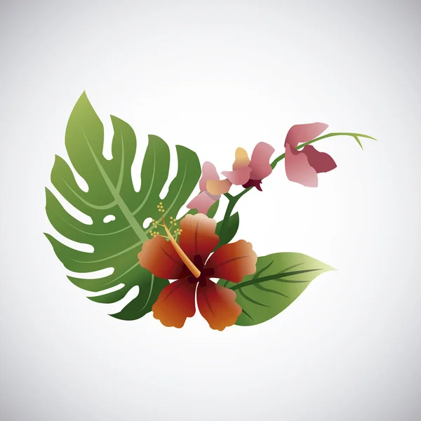 Conception de fleurs tropicales. icône florale. concept naturel, illustration vectorielle — Image vectorielle
