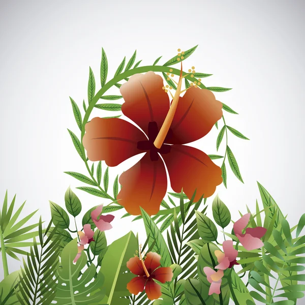 Conception de fleurs tropicales. icône florale. concept naturel, illustration vectorielle — Image vectorielle