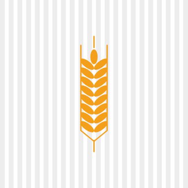 Buğday simgesi. tahıl tasarım. Tarım kavramı