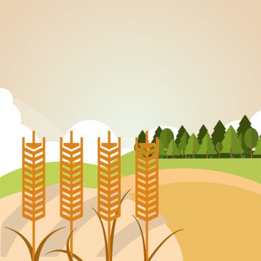 Buğday simgesi. peyzaj tasarımı. Tarım kavramı