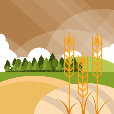 Buğday simgesi. peyzaj tasarımı. Tarım kavramı